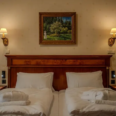 Hotel Golden Palace Göd